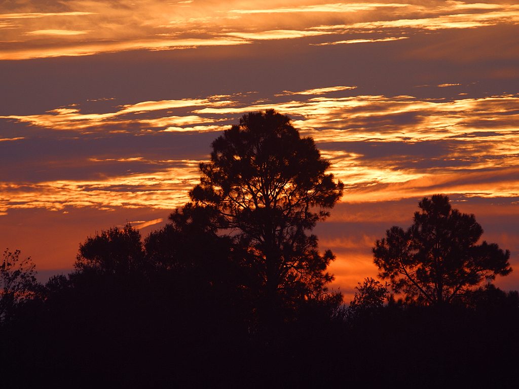 "Mapambazuco...the dawning of superior Business Solutions"